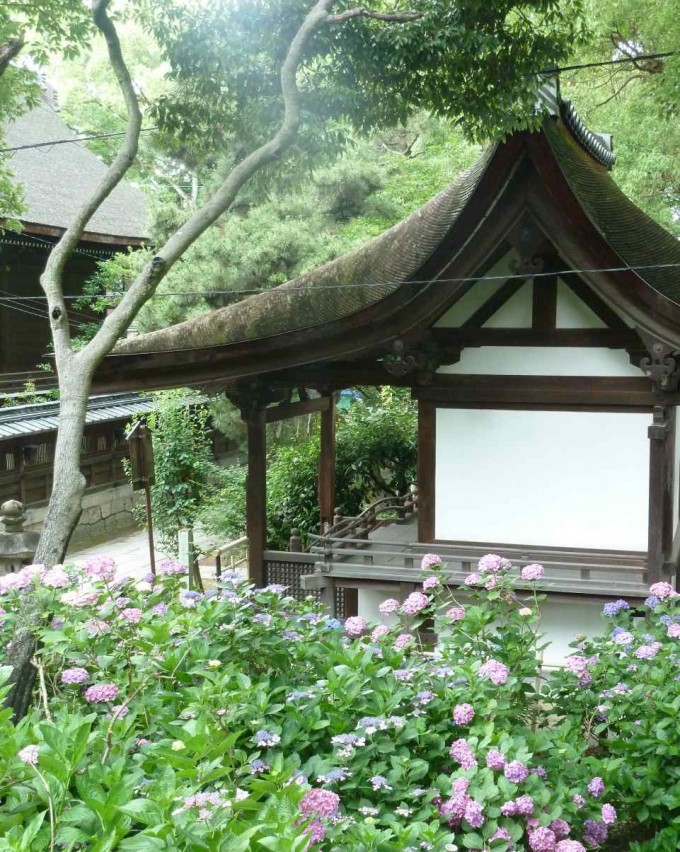 紫陽花苑（京都・藤森神社）